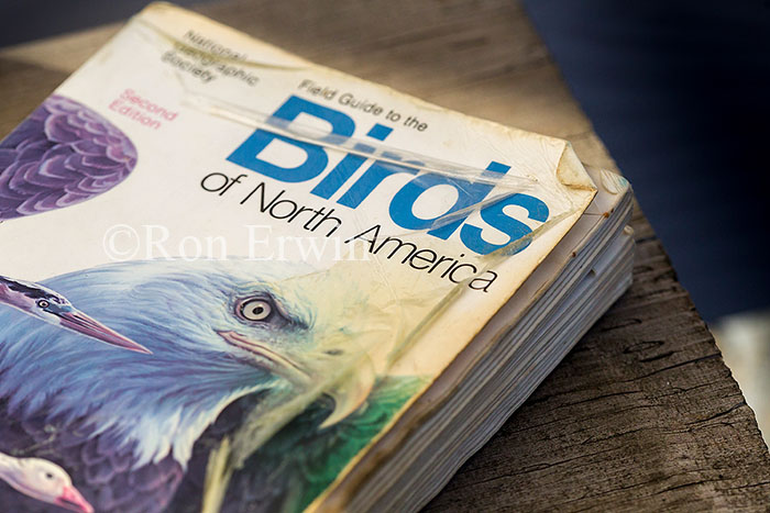 Well Worn Bird Guide