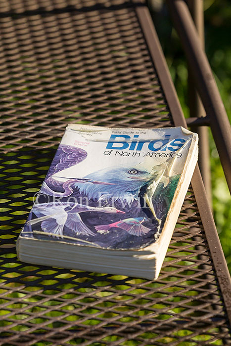 Well Worn Bird Guide
