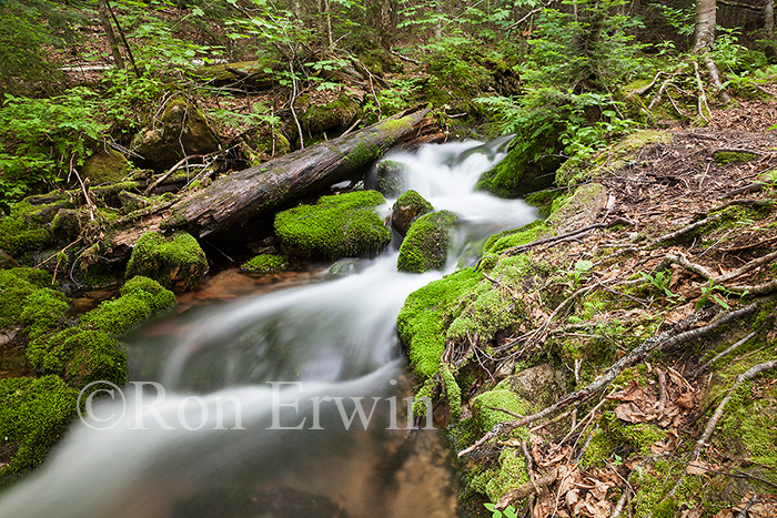 Mamozekel Brook, NB