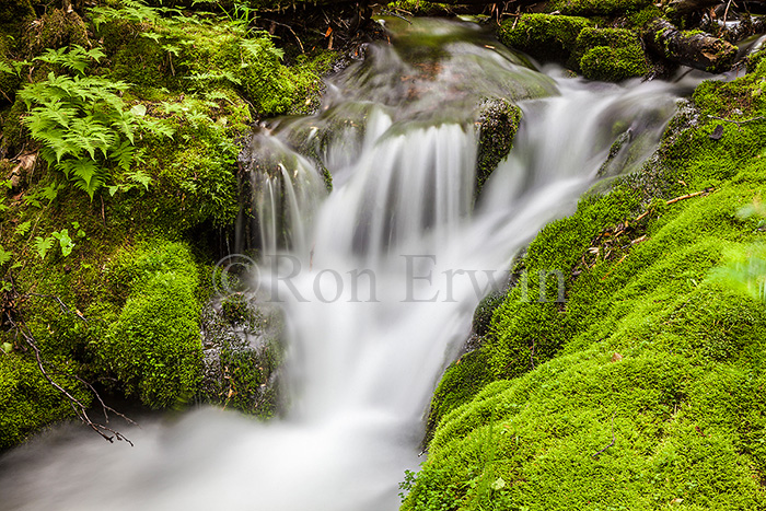 Mamozekel Brook, NB