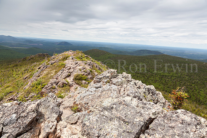 Mount Carleton, New Brunswick