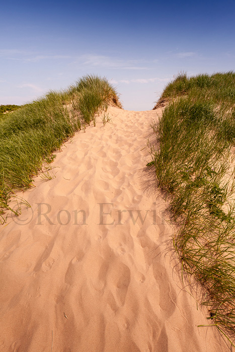 Dunes at St Peters Harbour, PEI