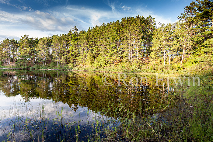 North Tea Lake, Algonquin, ON