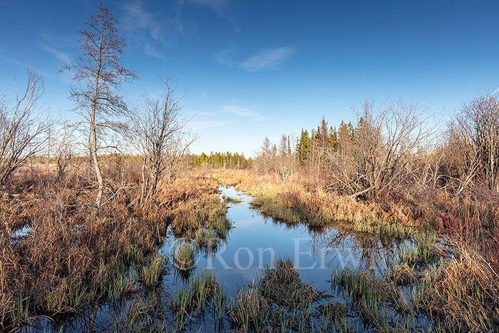 Manitoulin Island, ON Wetlands