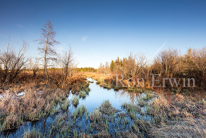 Manitoulin Island, ON Wetlands