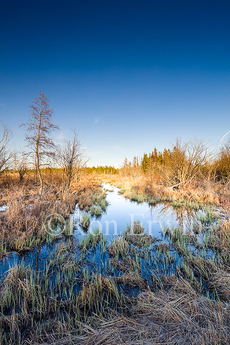 Manitoulin Island, ON Wetlands