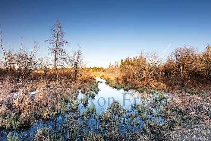 Manitoulin Island, ON Wetlands