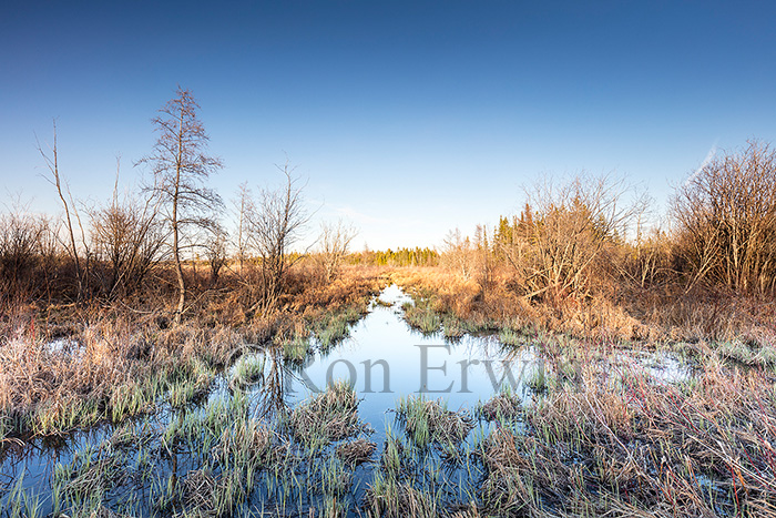 Manitoulin Island, ON Wetlands