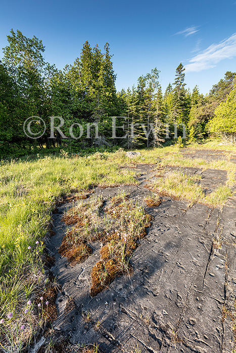 Misery Bay Provincial Park, ON