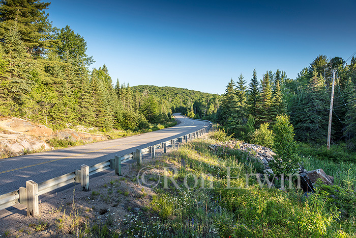 Highway 60, Algonquin, ON