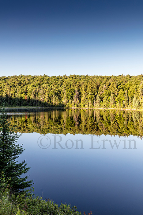 Brewer Lake, Algonquin, ON