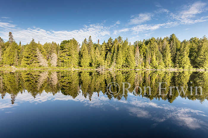 Source Lake, Algonquin, ON