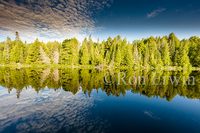 Source Lake, Algonquin, ON
