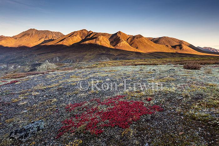 Cloudy Range, Tombstone, Yukon