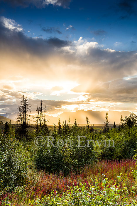 Yukon in Autumn