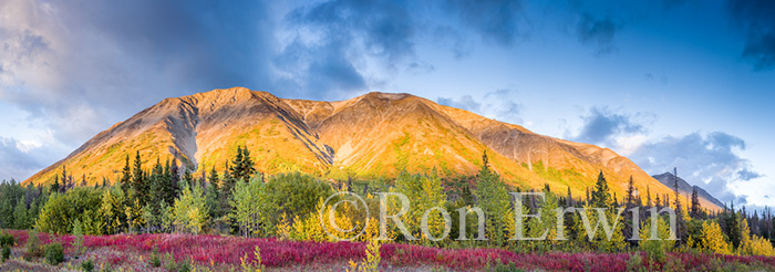 Yukon in Autumn