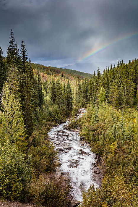 Portal Creek & Rainbow, Jasper, AB