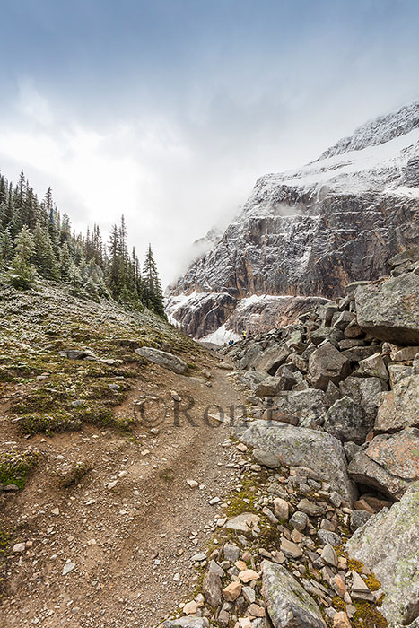 Cavell Meadows Trail, Jasper, AB