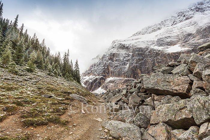 Cavell Meadows Trail, Jasper, AB