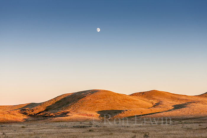 Moon over Grasslands, SK