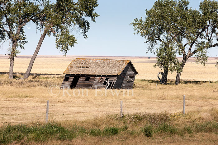 Abandoned Buildings