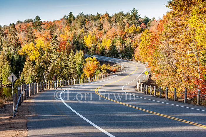 Photographer in Algonquin in Autumn