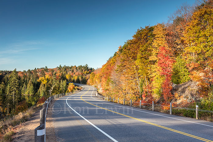 Algonquin ON in Autumn