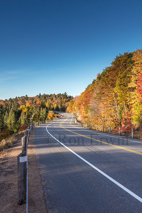 Algonquin ON in Autumn