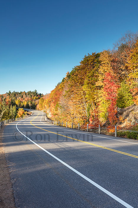 Algonquin ON in Autumn