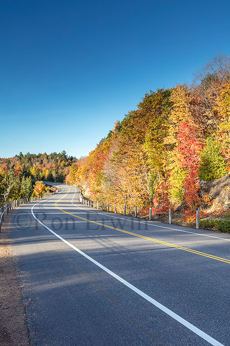 Algonquin ON in Autumn