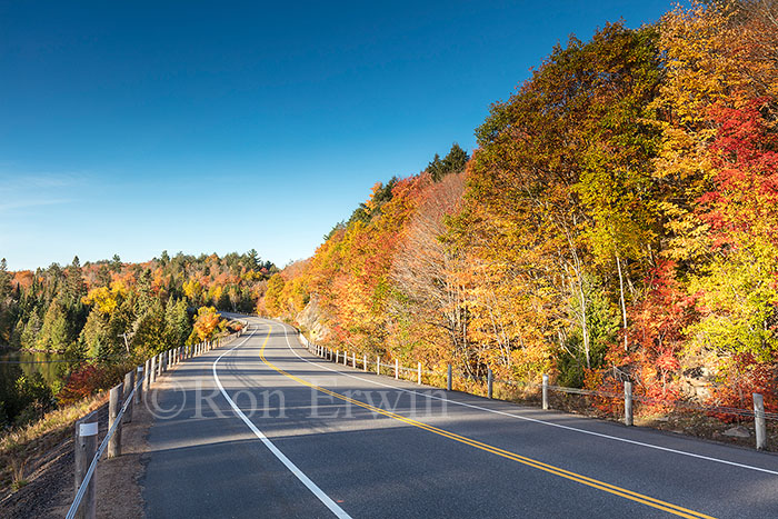 Algonquin ON in Autumn