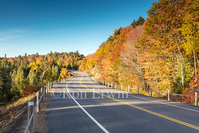 Algonquin ON in Autumn