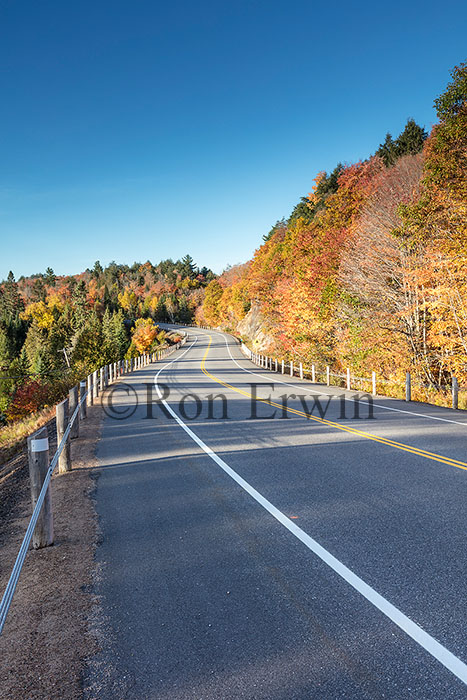 Algonquin ON in Autumn