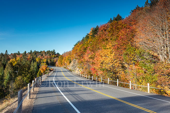 Algonquin ON in Autumn