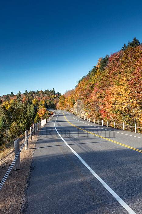 Algonquin ON in Autumn
