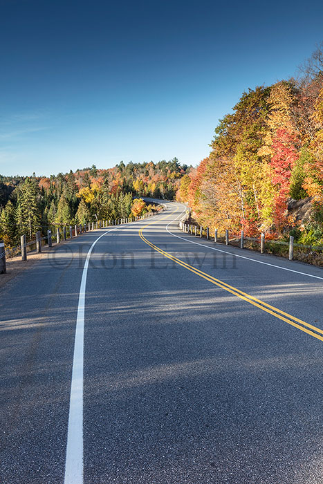 Algonquin ON in Autumn