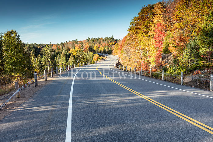 Algonquin ON in Autumn