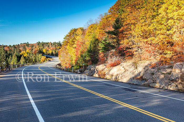 Algonquin ON in Autumn
