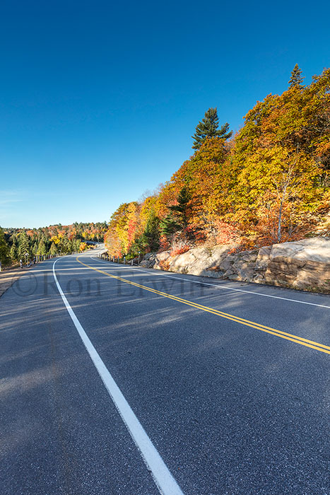 Algonquin ON in Autumn