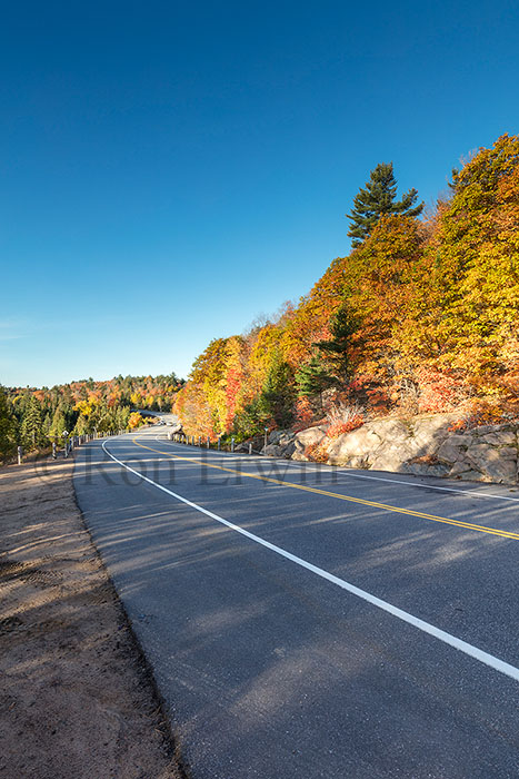 Algonquin ON in Autumn