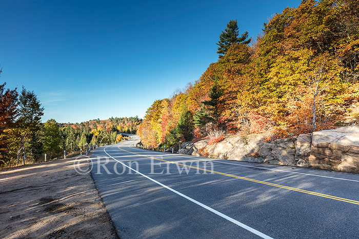 Algonquin ON in Autumn