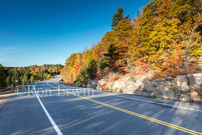 Algonquin ON in Autumn