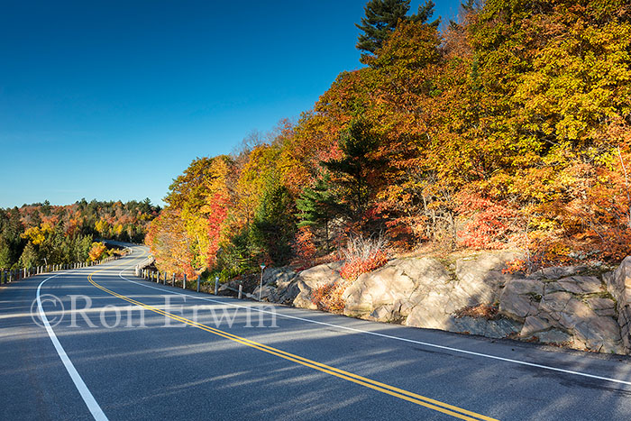 Algonquin ON in Autumn