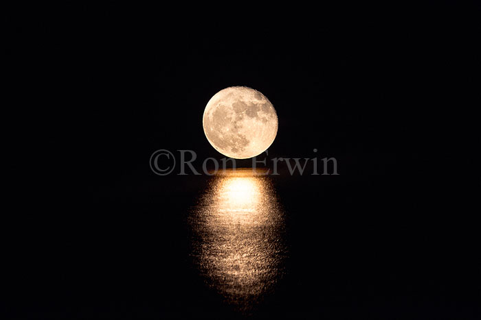 Full Supermoon
