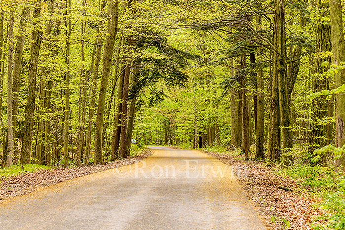 Presqu'ile Provincial Park, Ontario