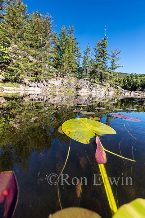 Freeland Lake, Killarney, ON