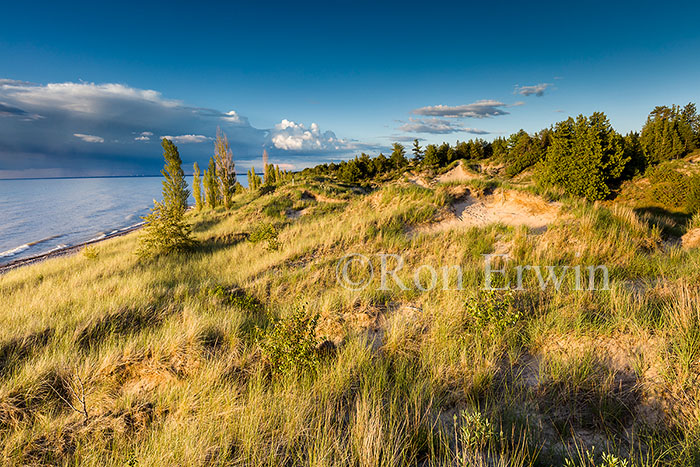 Dunes at Burley Beach, The Pinery, ON