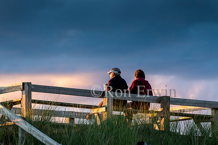 Sunset viewing at the Pinery, ON