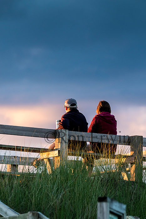Sunset viewing at the Pinery, ON