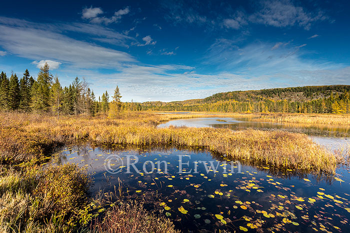 Algonquin Ontario in Autumn